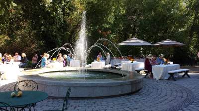 Buena Vista Winery Fountain