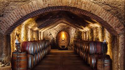 The Caves of Buena Vista Winery