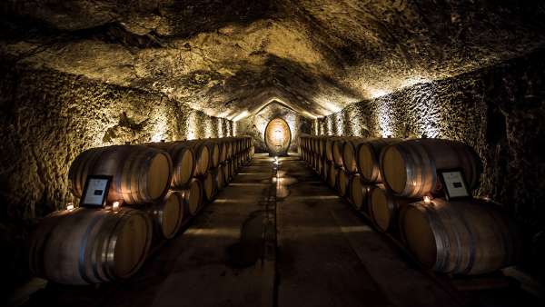 Visit Buena Vista Winery
