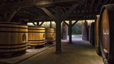 Buena Vista Winery - Photo credit: David Wakeley