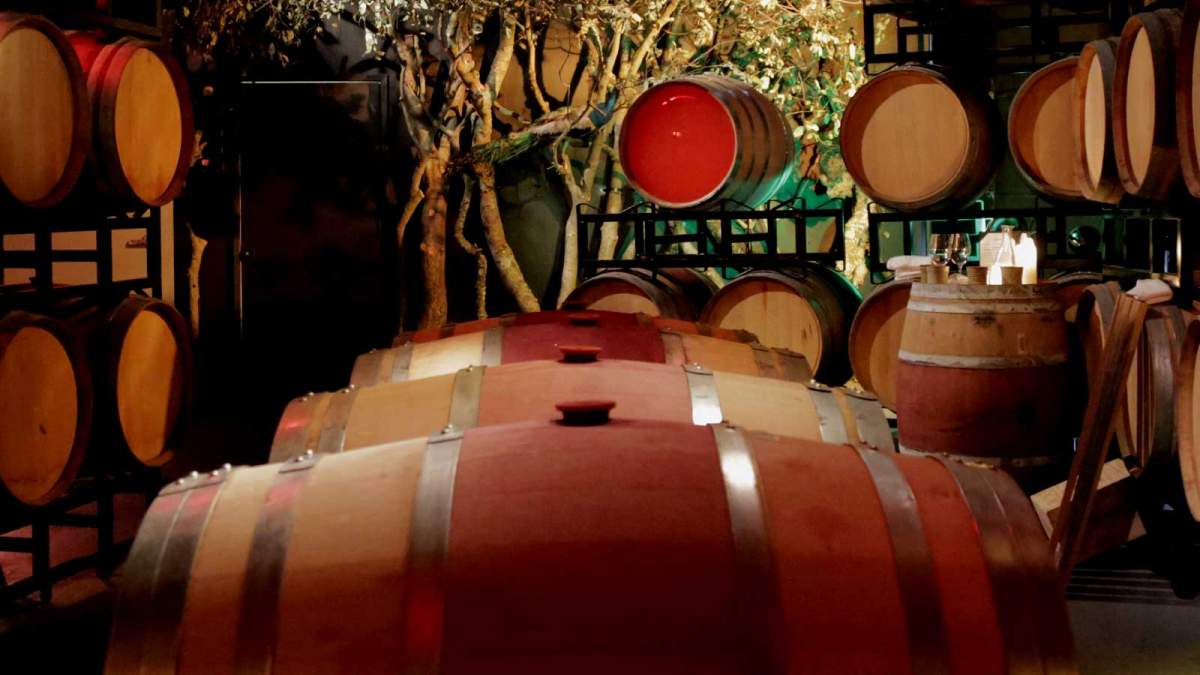 Barrel Tasting Raymond Vineyards Experiences Boisset Collection